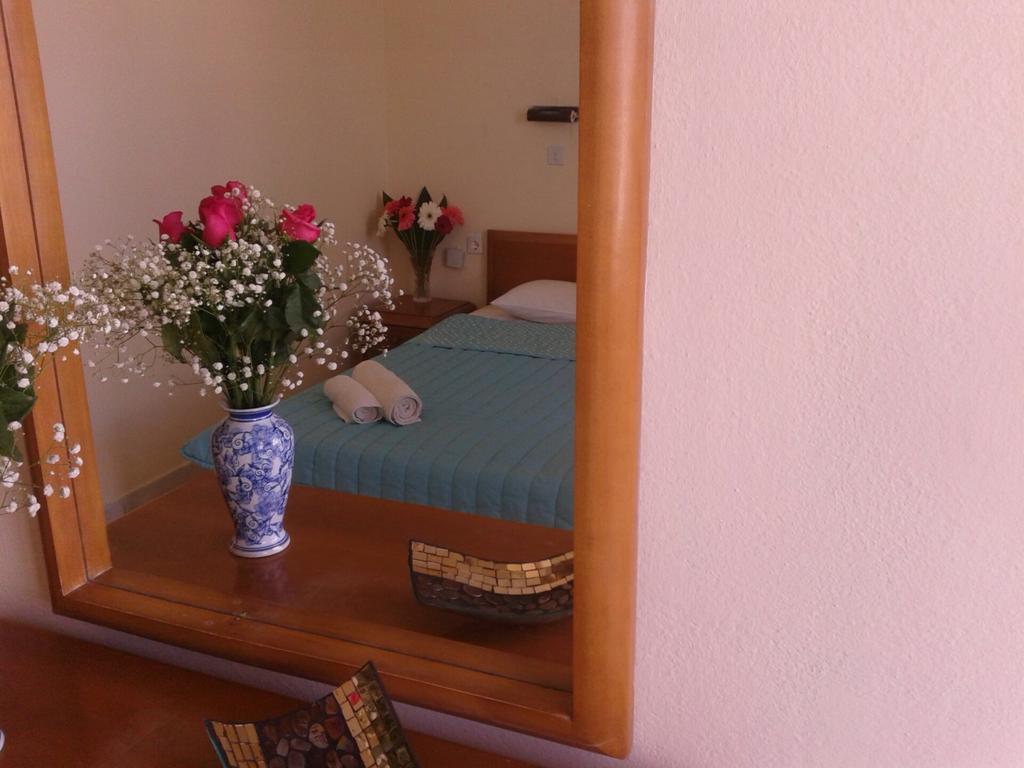 Classic Single Room with Garden View
